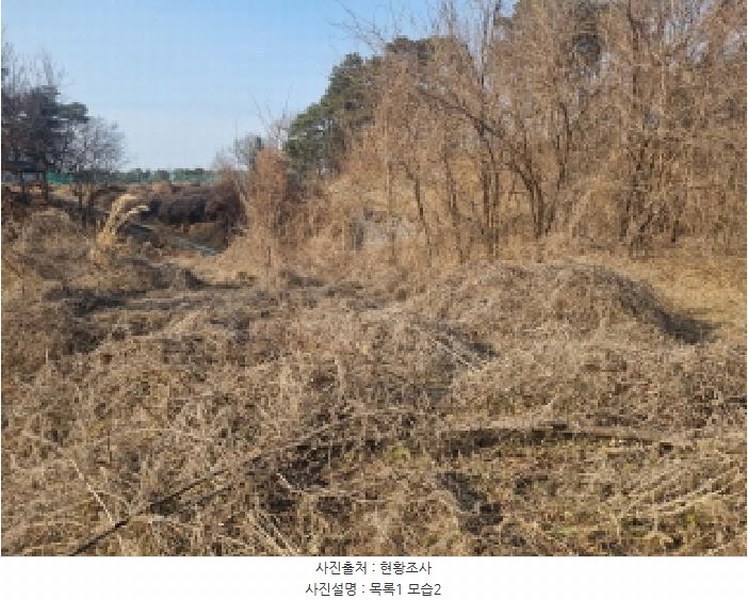 2025타경501726 세종특별자치시 연동면 내판리 1-4 임야 경매 이미지