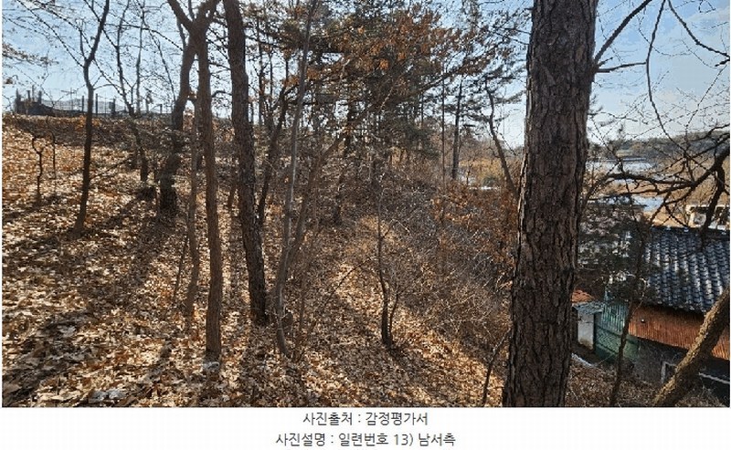 2025타경501726 세종특별자치시 연동면 내판리 1-4 임야 경매 이미지