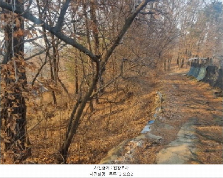 2025타경501726 세종특별자치시 연동면 내판리 1-4 임야 경매 이미지
