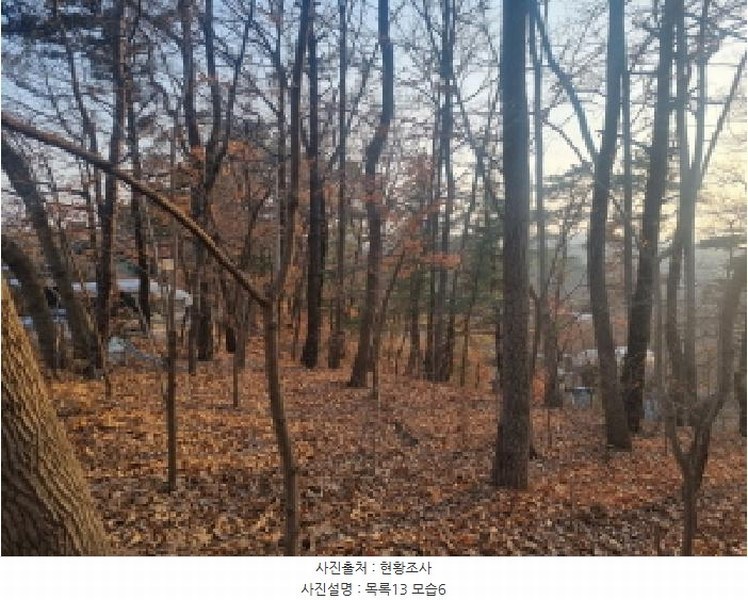 2025타경501726 세종특별자치시 연동면 내판리 1-4 임야 경매 이미지