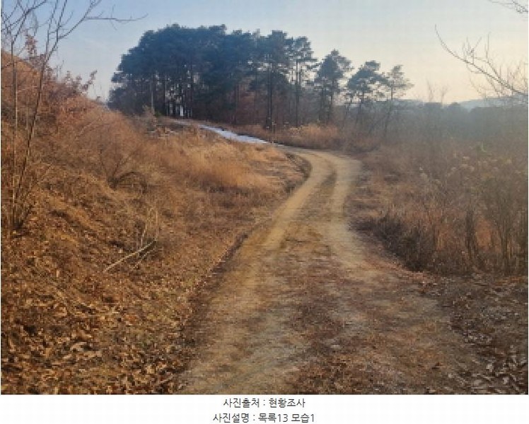 2025타경501726 세종특별자치시 연동면 내판리 1-4 임야 경매 이미지