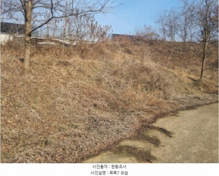 2025타경501726 세종특별자치시 연동면 내판리 1-4 임야 경매 이미지