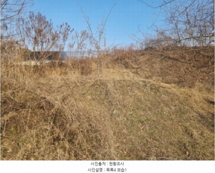 2025타경501726 세종특별자치시 연동면 내판리 1-4 임야 경매 이미지