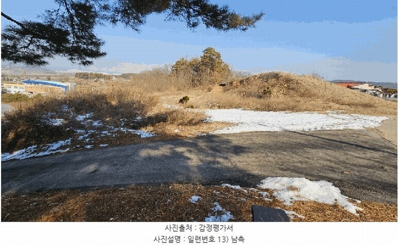 2025타경501726 세종특별자치시 연동면 내판리 1-4 임야 경매 이미지