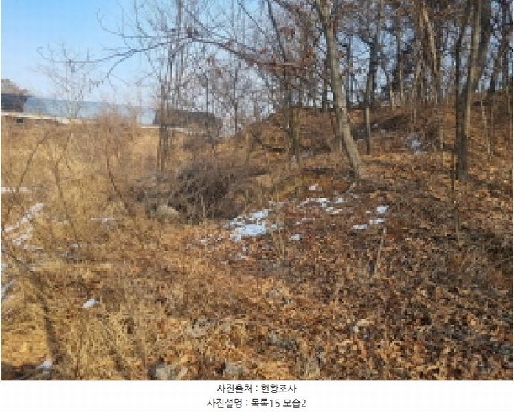 2025타경501726 세종특별자치시 연동면 내판리 1-4 임야 경매 이미지