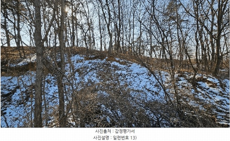 2025타경501726 세종특별자치시 연동면 내판리 1-4 임야 경매 이미지
