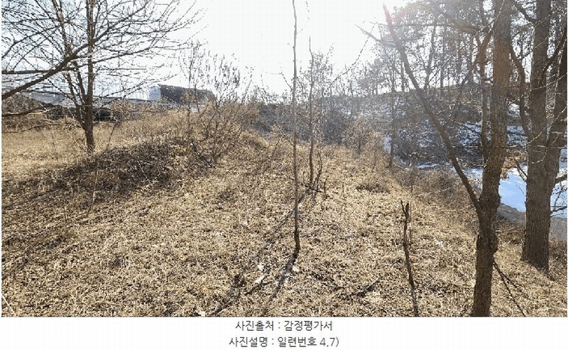 2025타경501726 세종특별자치시 연동면 내판리 1-4 임야 경매 이미지