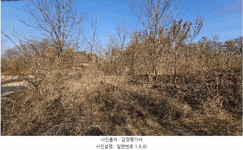 2025타경501726 세종특별자치시 연동면 내판리 1-4 임야 경매 이미지