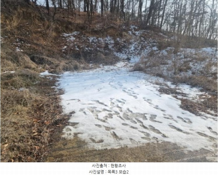 2025타경501726 세종특별자치시 연동면 내판리 1-4 임야 경매 이미지