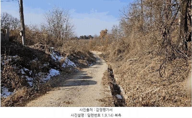 2025타경501726 세종특별자치시 연동면 내판리 1-4 임야 경매 이미지