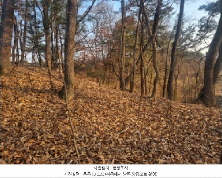 2025타경501726 세종특별자치시 연동면 내판리 1-4 임야 경매 이미지