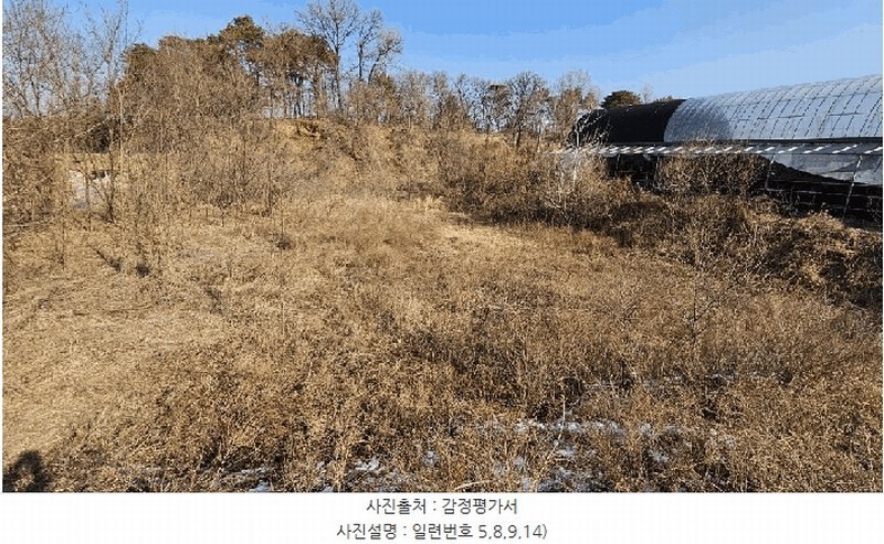 2025타경501726 세종특별자치시 연동면 내판리 1-4 임야 경매 이미지