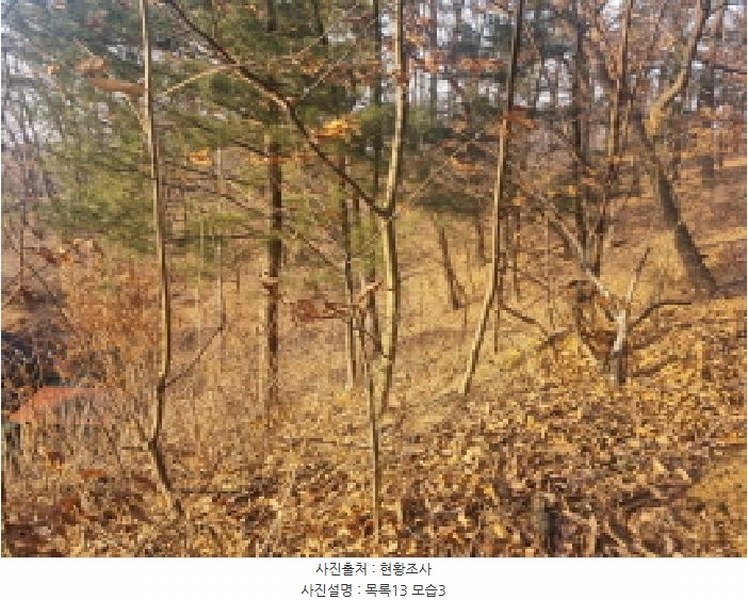 2025타경501726 세종특별자치시 연동면 내판리 1-4 임야 경매 이미지