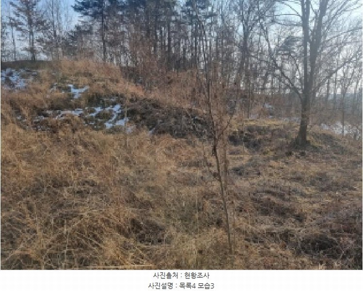 2025타경501726 세종특별자치시 연동면 내판리 1-4 임야 경매 이미지