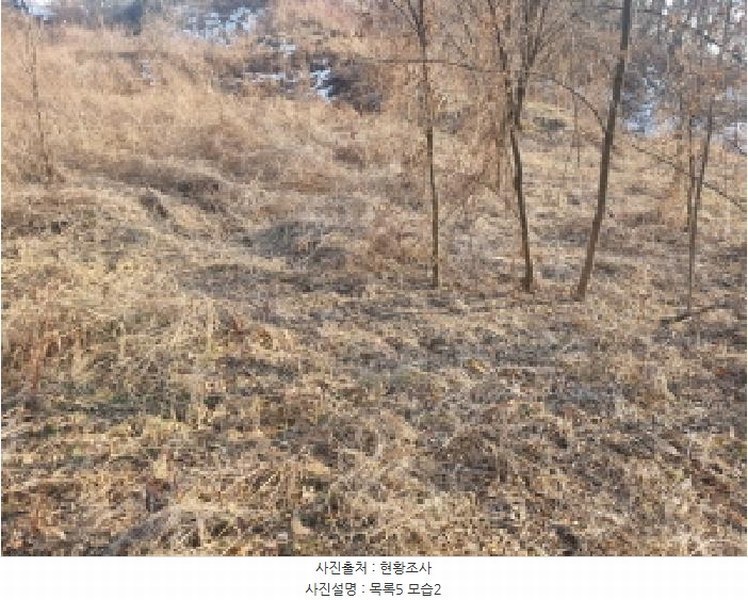 2025타경501726 세종특별자치시 연동면 내판리 1-4 임야 경매 이미지
