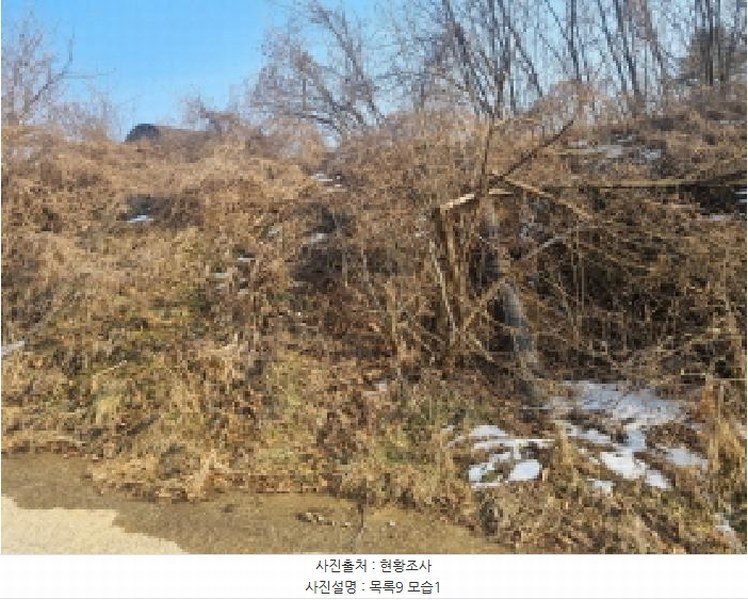 2025타경501726 세종특별자치시 연동면 내판리 1-4 임야 경매 이미지
