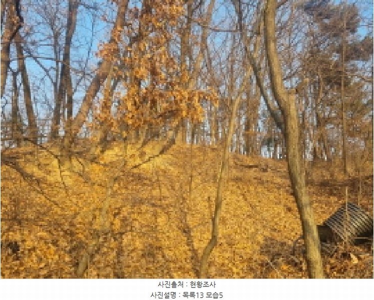 2025타경501726 세종특별자치시 연동면 내판리 1-4 임야 경매 이미지