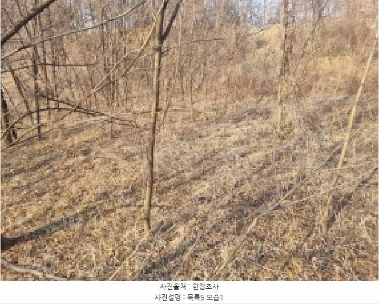 2025타경501726 세종특별자치시 연동면 내판리 1-4 임야 경매 이미지