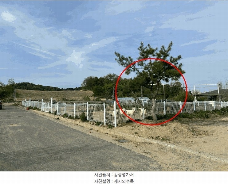 2025타경502179 세종특별자치시 장군면 대교리 514-14 농지 경매 이미지