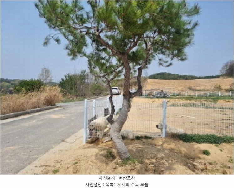 2025타경502179 세종특별자치시 장군면 대교리 514-14 농지 경매 이미지