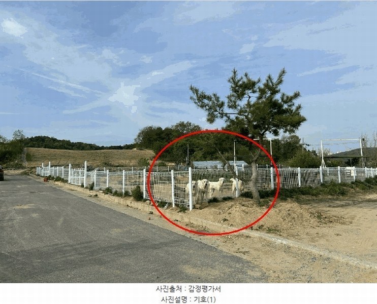 2025타경502179 세종특별자치시 장군면 대교리 514-14 농지 경매 이미지