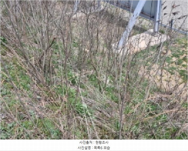 2025타경502179 세종특별자치시 장군면 대교리 514-14 농지 경매 이미지
