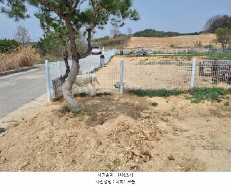 2025타경502179 세종특별자치시 장군면 대교리 514-14 농지 경매 이미지