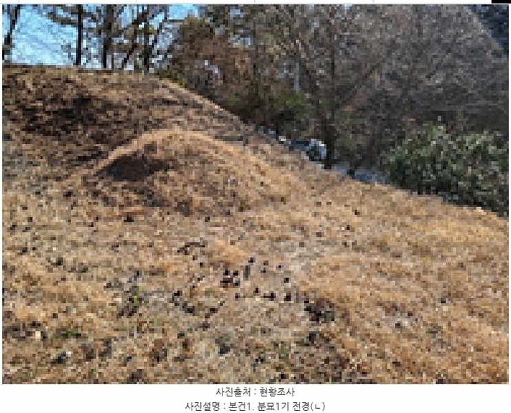 2025타경10481 경상남도 창원시 의창구 동읍 용잠리 118-1 농지 경매 이미지
