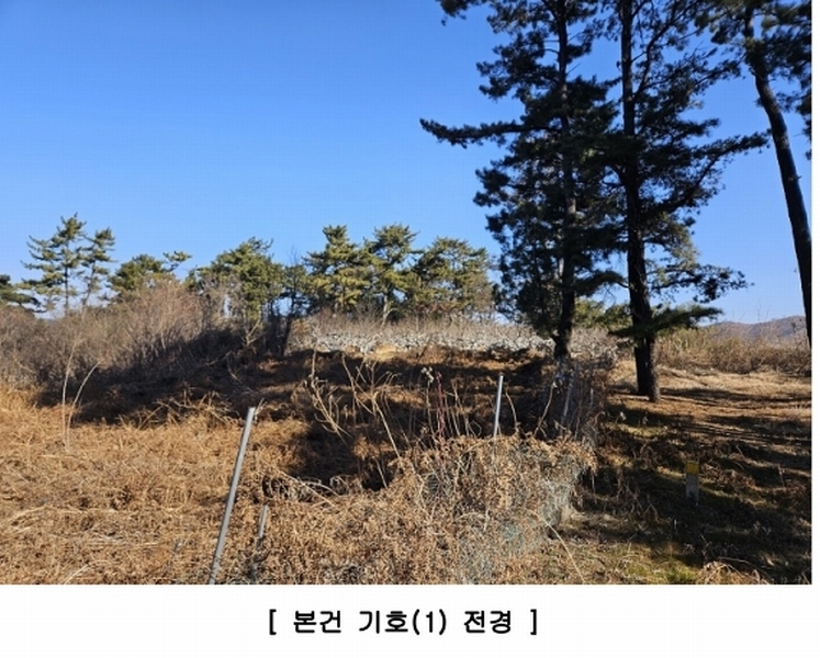 2025타경10481 경상남도 창원시 의창구 동읍 용잠리 118-1 농지 경매 이미지