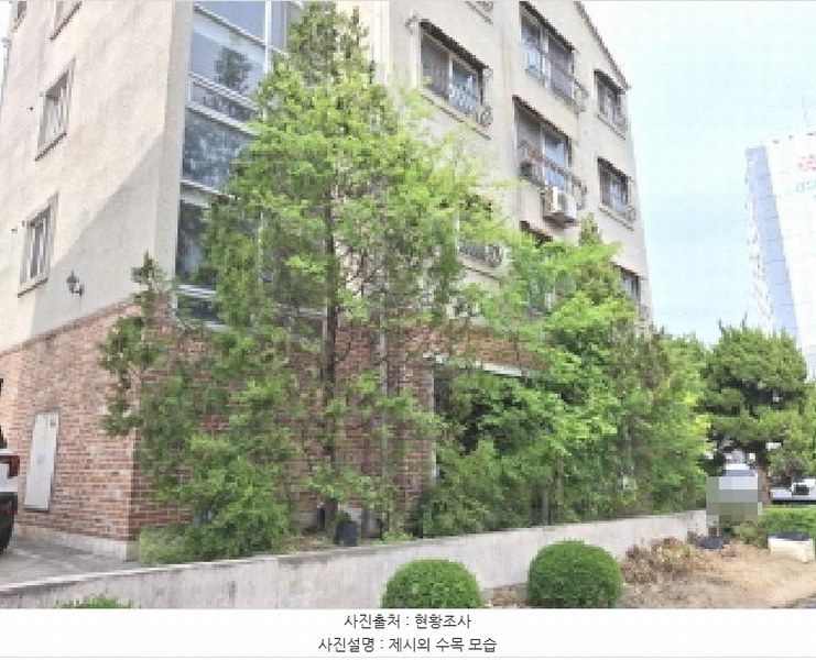 2025타경502432 대전광역시 서구 내동 152-23 근린주택 경매 이미지