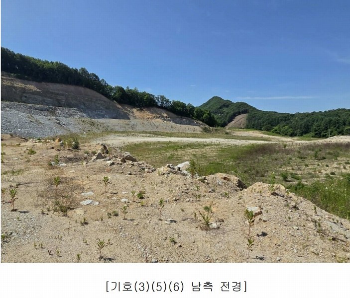 2025타경502445 충청남도 금산군 군북면 보광리 556-3 임야 경매 이미지