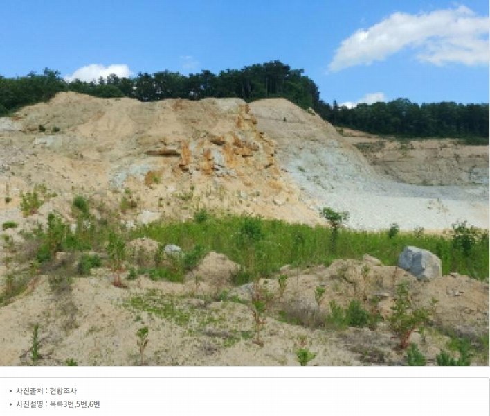 2025타경502445 충청남도 금산군 군북면 보광리 556-3 임야 경매 이미지