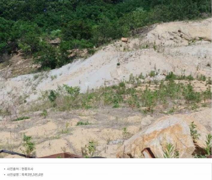 2025타경502445 충청남도 금산군 군북면 보광리 556-3 임야 경매 이미지