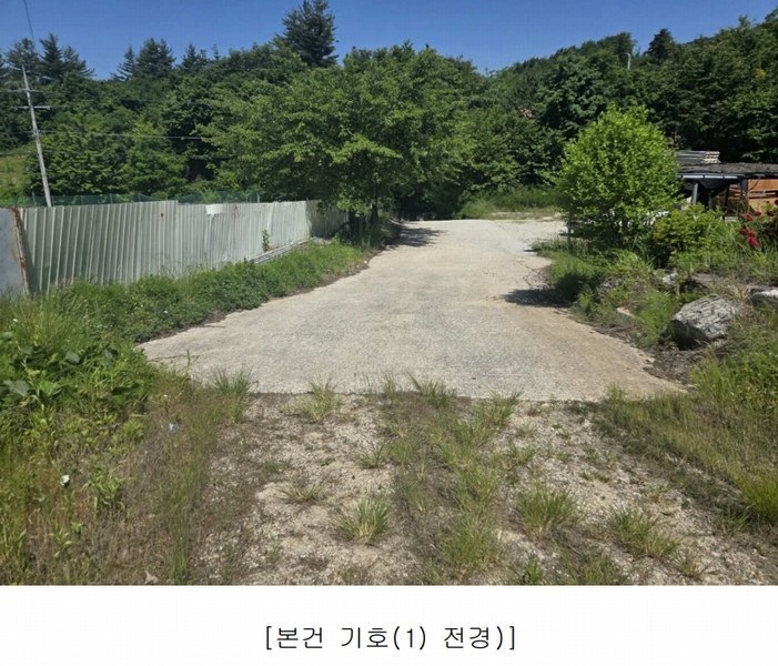 2025타경502445 충청남도 금산군 군북면 보광리 556-3 임야 경매 이미지