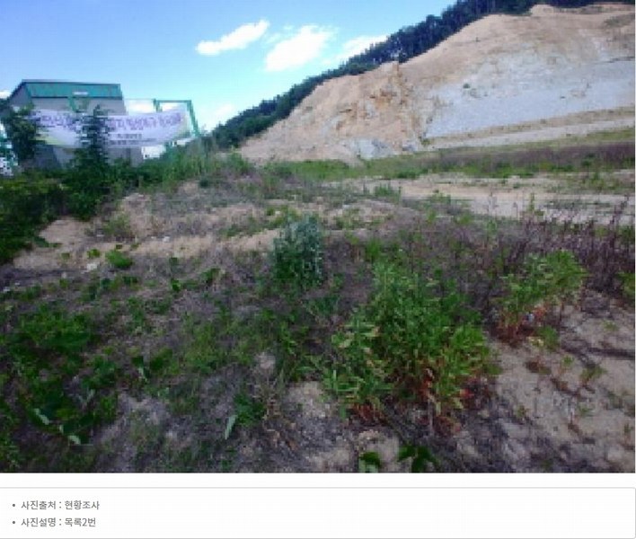 2025타경502445 충청남도 금산군 군북면 보광리 556-3 임야 경매 이미지