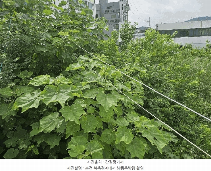 2025타경502457 세종특별자치시 부강면 부강리 457-3 대지 경매 이미지
