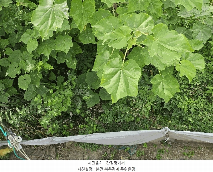 2025타경502457 세종특별자치시 부강면 부강리 457-3 대지 경매 이미지