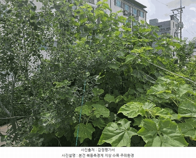 2025타경502457 세종특별자치시 부강면 부강리 457-3 대지 경매 이미지