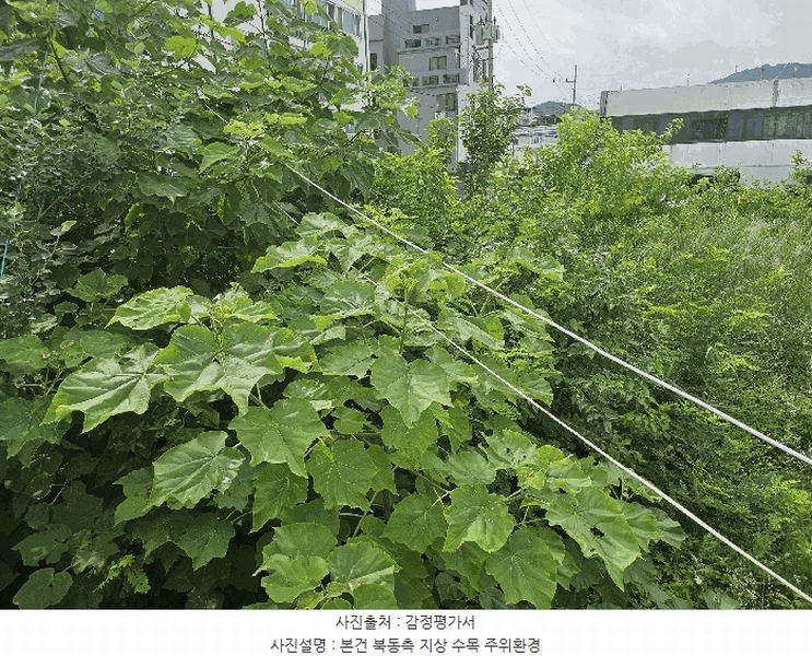 2025타경502457 세종특별자치시 부강면 부강리 457-3 대지 경매 이미지