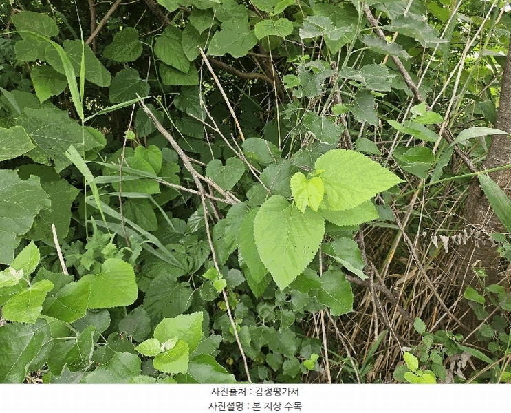 2025타경502457 세종특별자치시 부강면 부강리 457-3 대지 경매 이미지