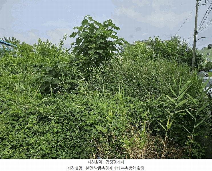 2025타경502457 세종특별자치시 부강면 부강리 457-3 대지 경매 이미지
