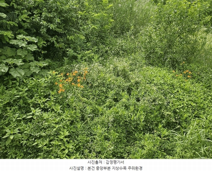 2025타경502457 세종특별자치시 부강면 부강리 457-3 대지 경매 이미지