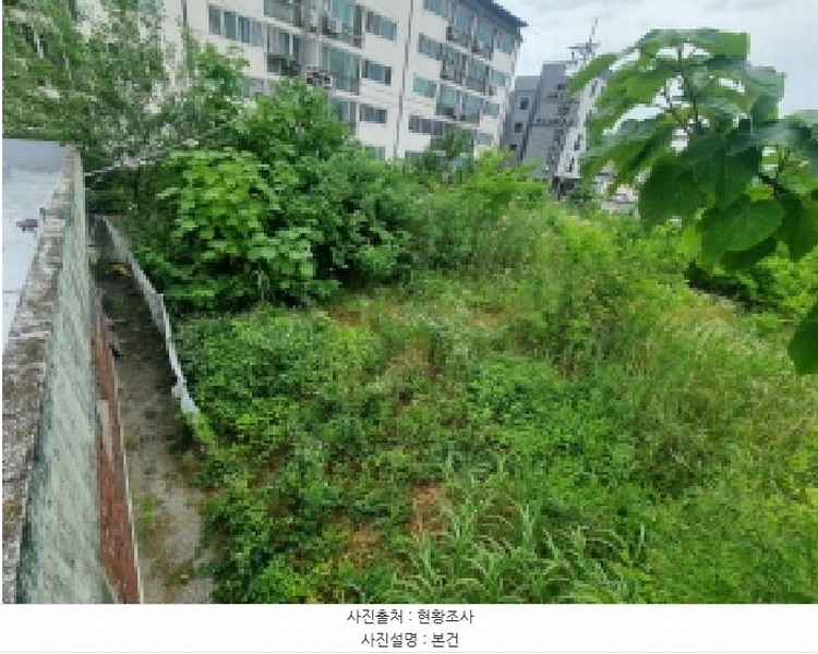 2025타경502457 세종특별자치시 부강면 부강리 457-3 대지 경매 이미지