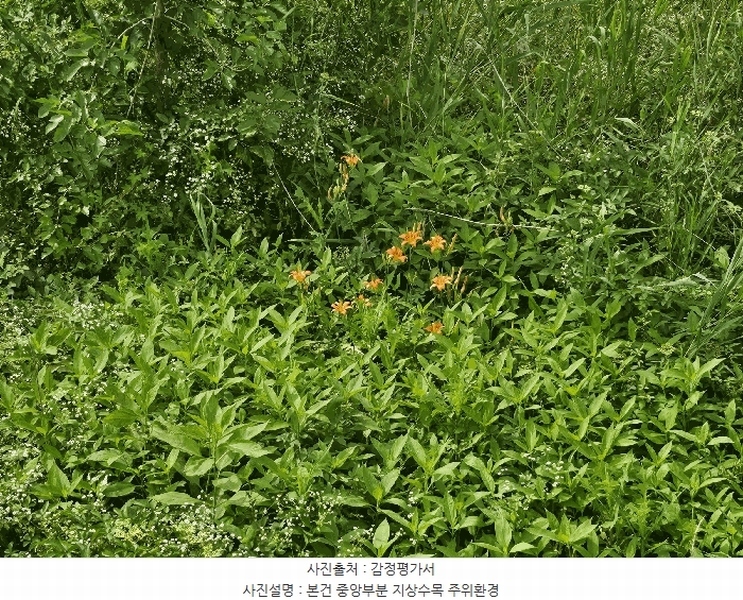 2025타경502457 세종특별자치시 부강면 부강리 457-3 대지 경매 이미지