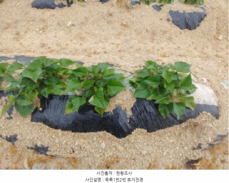 2025타경502551 충청남도 금산군 군북면 동편리 156 농지 경매 이미지