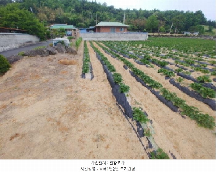 2025타경502551 충청남도 금산군 군북면 동편리 156 농지 경매 이미지