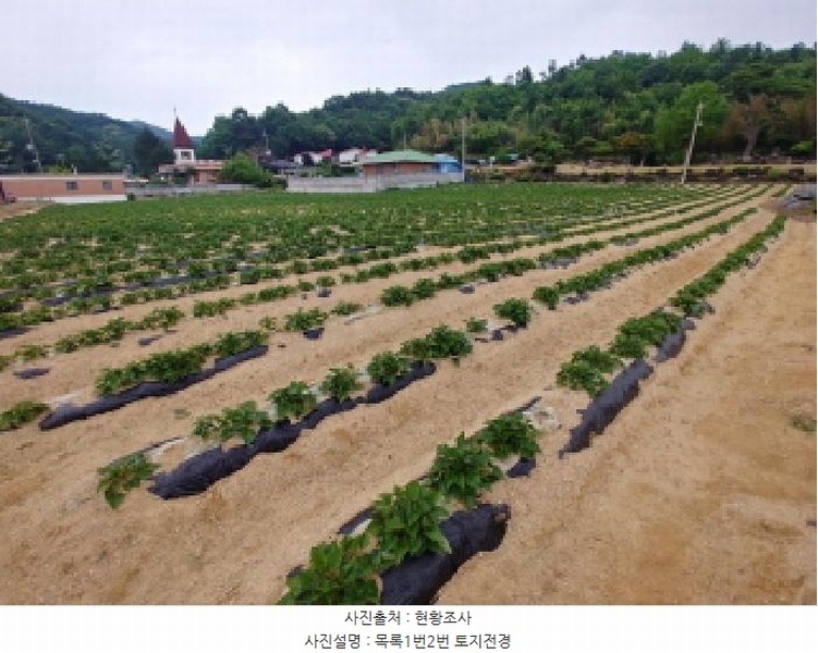 2025타경502551 충청남도 금산군 군북면 동편리 156 농지 경매 이미지