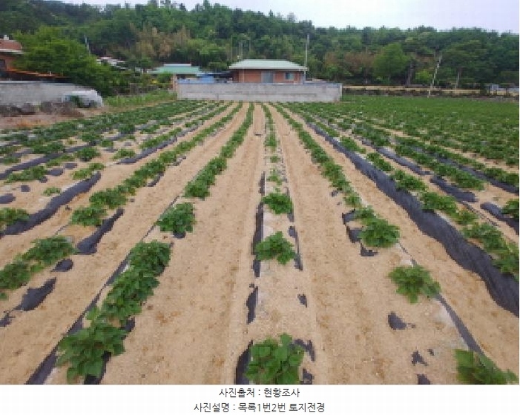 2025타경502551 충청남도 금산군 군북면 동편리 156 농지 경매 이미지