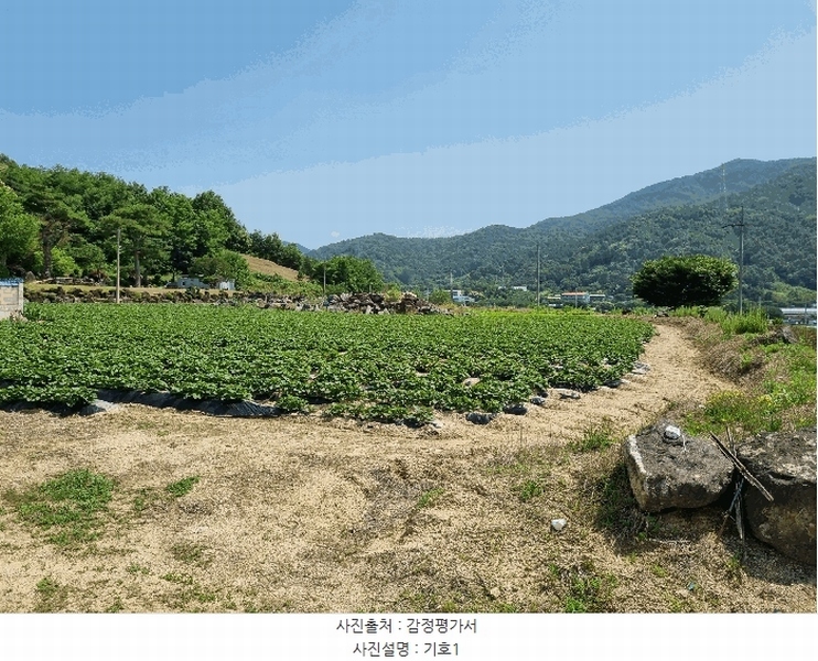 2025타경502551 충청남도 금산군 군북면 동편리 156 농지 경매 이미지