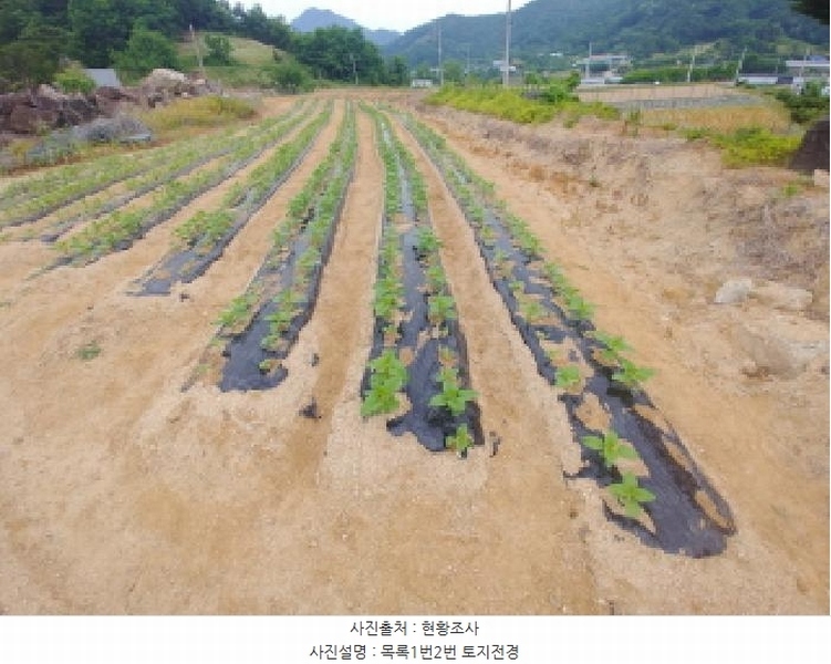 2025타경502551 충청남도 금산군 군북면 동편리 156 농지 경매 이미지